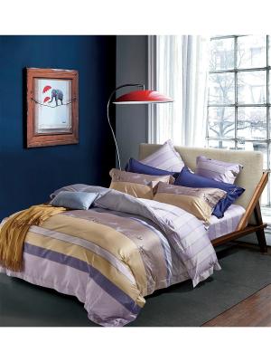 Постельное белье 1,5-спальное, египетский хлопок Asabella. Цвет: светло-голубой, бежевый, сиреневый