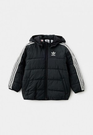 Куртка утепленная adidas Originals. Цвет: черный