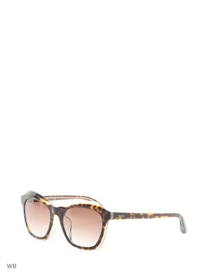 Солнцезащитные очки TO 0162F 50F Tod's. Цвет: коричневый, прозрачный