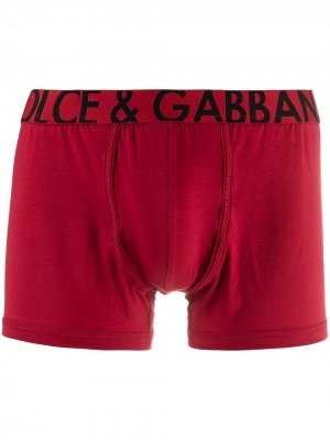Боксеры с логотипом Dolce & Gabbana. Цвет: красный
