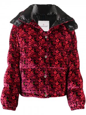 Куртка-пуховик с цветочным принтом Moncler. Цвет: розовый