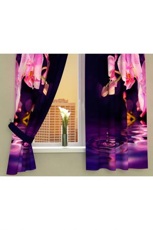Фотошторы Орхидея над водой Стильный Дом. Цвет: мульти