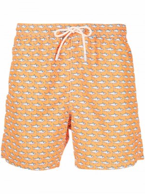 Плавки-шорты с принтом Mc2 Saint Barth. Цвет: оранжевый